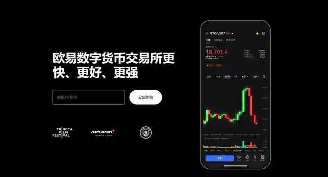 Trust Wallet官方下载安装页面展示